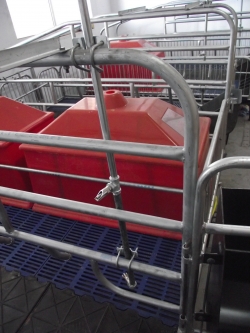 產床兩用飲水管道