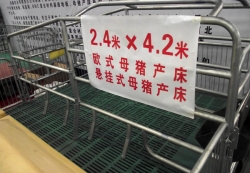 加長再加寬母豬產床